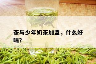 茶与少年奶茶加盟，什么好喝？