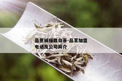 品意诚福鼎白茶-品茗加盟电话及公司简介