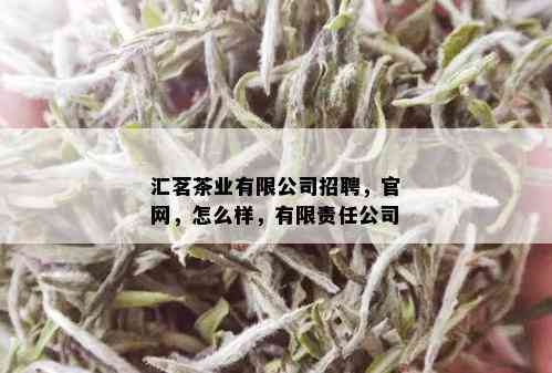 汇茗茶业有限公司招聘，官网，怎么样，有限责任公司