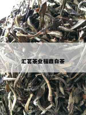 汇茗茶业福鼎白茶