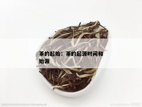 茶的起始：茶的起源时间和始源