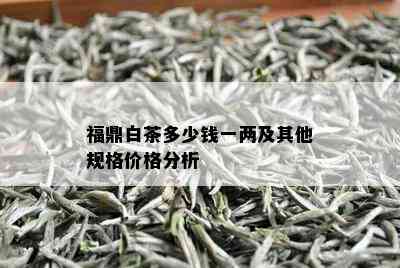 福鼎白茶多少钱一两及其他规格价格分析