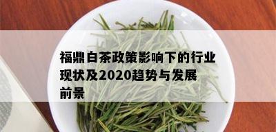 福鼎白茶政策影响下的行业现状及2020趋势与发展前景