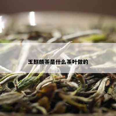 玉麒麟茶是什么茶叶做的