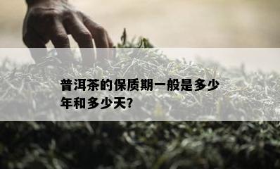 普洱茶的保质期一般是多少年和多少天？