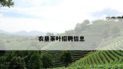 农垦茶叶招聘信息