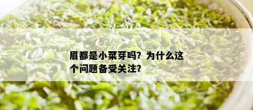 眉都是小菜芽吗？为什么这个问题备受关注？