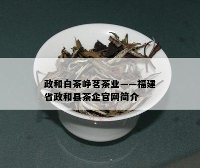 政和白茶峥茗茶业——福建省政和县茶企官网简介