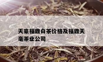 天豪福鼎白茶价格及福鼎天毫茶业公司