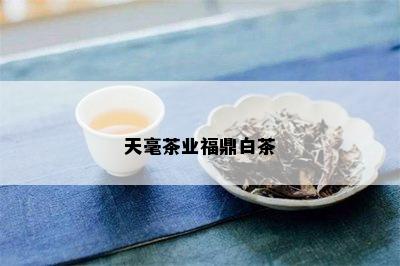 天毫茶业福鼎白茶