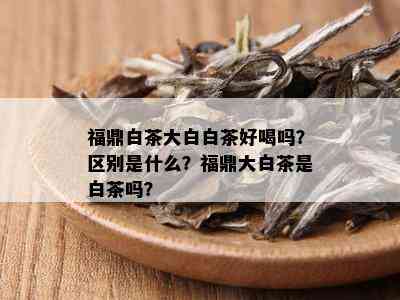 福鼎白茶大白白茶好喝吗？区别是什么？福鼎大白茶是白茶吗？