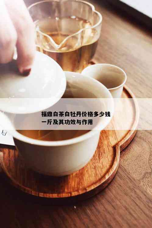 福鼎白茶白牡丹价格多少钱一斤及其功效与作用