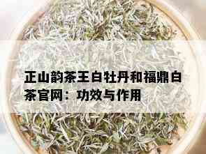 正山韵茶王白牡丹和福鼎白茶官网：功效与作用