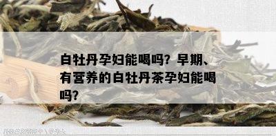 白牡丹孕妇能喝吗？早期、有营养的白牡丹茶孕妇能喝吗？