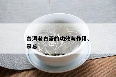 普洱老白茶的功效与作用、禁忌