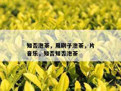 知否泡茶，用刷子泡茶，片音乐，知否知否泡茶