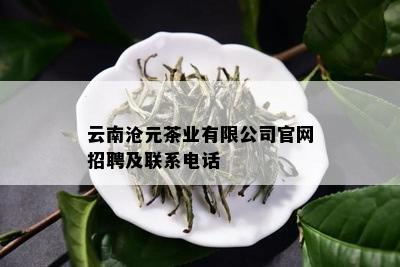 云南沧元茶业有限公司官网招聘及联系电话