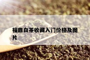 福鼎白茶收藏入门价格及图片