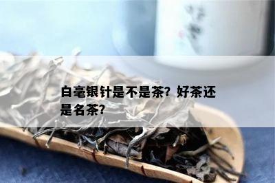 白毫银针是不是茶？好茶还是名茶？