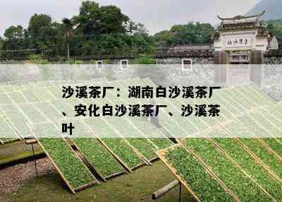 沙溪茶厂：湖南白沙溪茶厂、安化白沙溪茶厂、沙溪茶叶