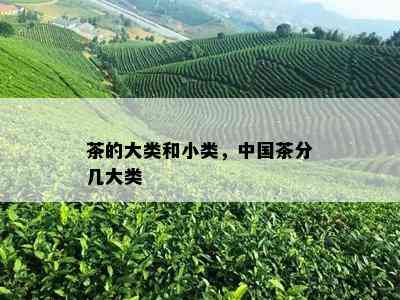 茶的大类和小类，中国茶分几大类