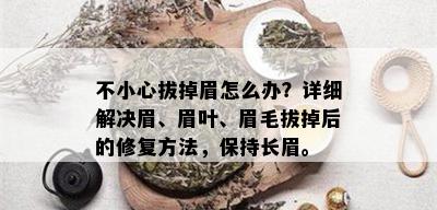 不小心拔掉眉怎么办？详细解决眉、眉叶、眉毛拔掉后的修复方法，保持长眉。