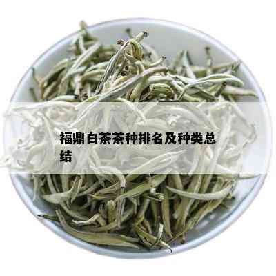 福鼎白茶茶种排名及种类总结