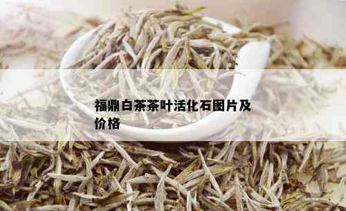 福鼎白茶茶叶活化石图片及价格