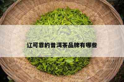 辽可靠的普洱茶品牌有哪些