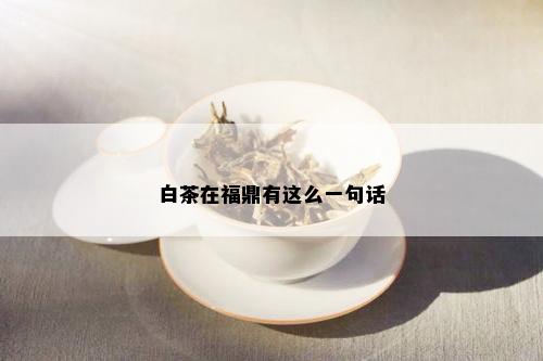 白茶在福鼎有这么一句话