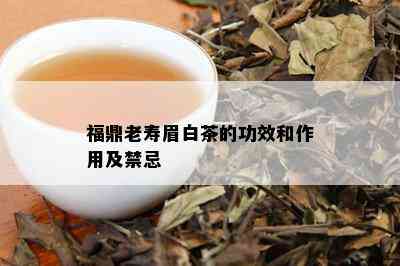 福鼎老寿眉白茶的功效和作用及禁忌