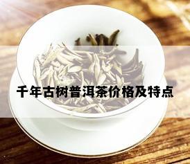 千年古树普洱茶价格及特点