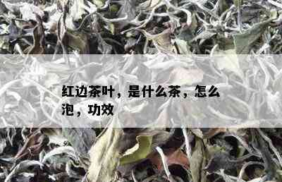 红边茶叶，是什么茶，怎么泡，功效