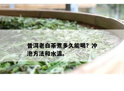 普洱老白茶煮多久能喝？冲泡方法和水温。