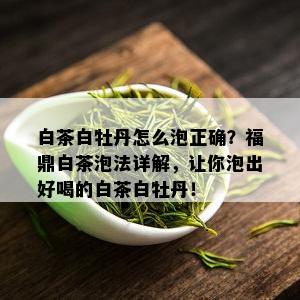 白茶白牡丹怎么泡正确？福鼎白茶泡法详解，让你泡出好喝的白茶白牡丹！