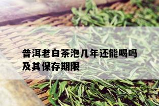 普洱老白茶泡几年还能喝吗及其保存期限