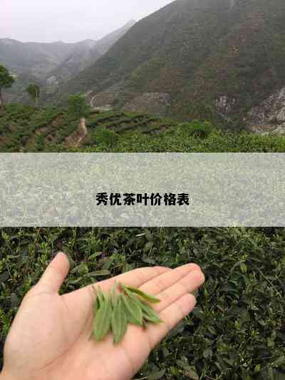 秀优茶叶价格表