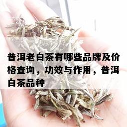 普洱老白茶有哪些品牌及价格查询，功效与作用，普洱白茶品种