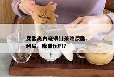 尿酸高白毫银针茶降尿酸、利尿、降血压吗？