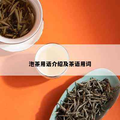 泡茶用语介绍及茶语用词