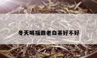 冬天喝福鼎老白茶好不好