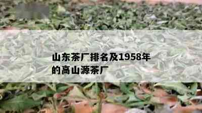 山东茶厂排名及1958年的高山源茶厂