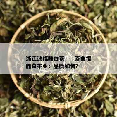 浙江波福鼎白茶——茶舍福鼎白茶业：品质如何？