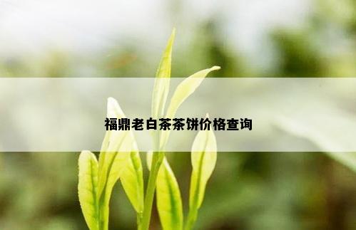 福鼎老白茶茶饼价格查询