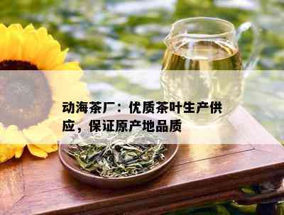 动海茶厂：优质茶叶生产供应，保证原产地品质