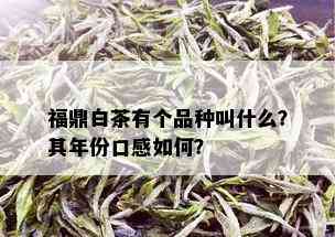 福鼎白茶有个品种叫什么？其年份口感如何？