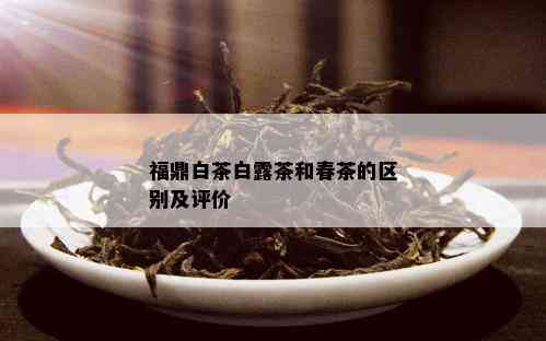 福鼎白茶白露茶和春茶的区别及评价