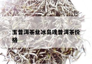 玉普洱茶业冰岛魂普洱茶价格