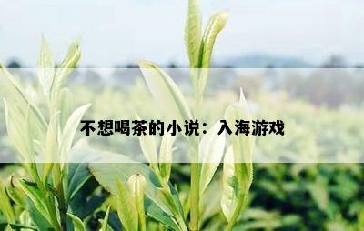 不想喝茶的小说：入海游戏