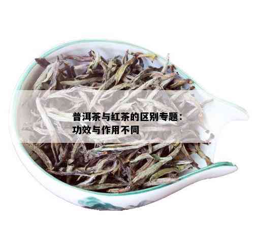 普洱茶与红茶的区别专题：功效与作用不同